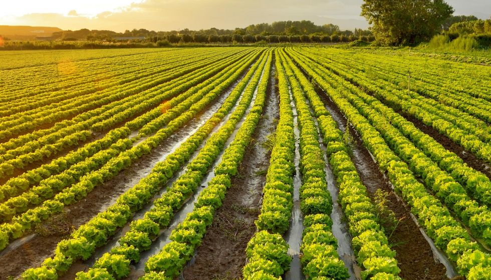agrobaix-parcelas-agricolas
